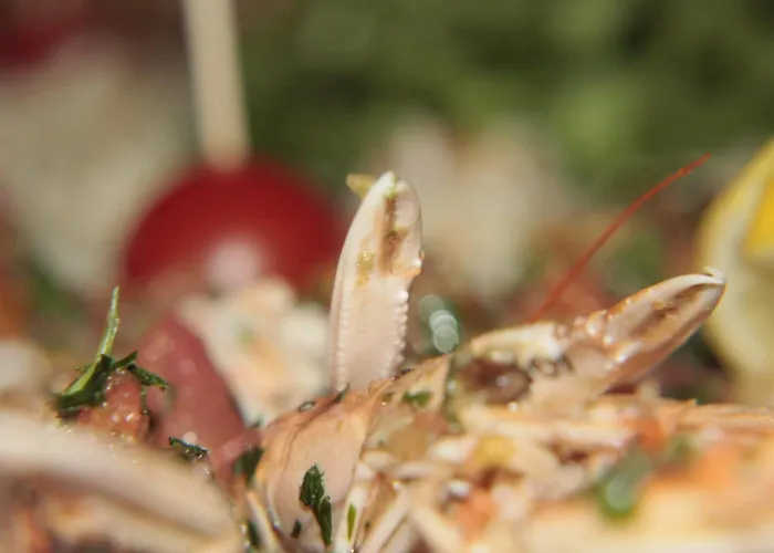 Hotell Aurora Misano Adriatico